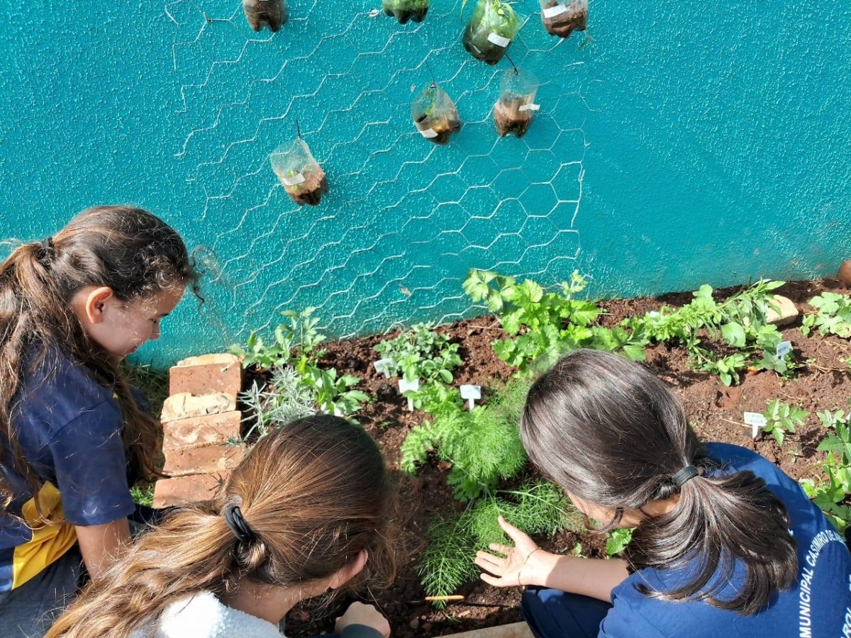 Educação Financeira: Projetos de horta orgânica e produção de peixes são sucessos 